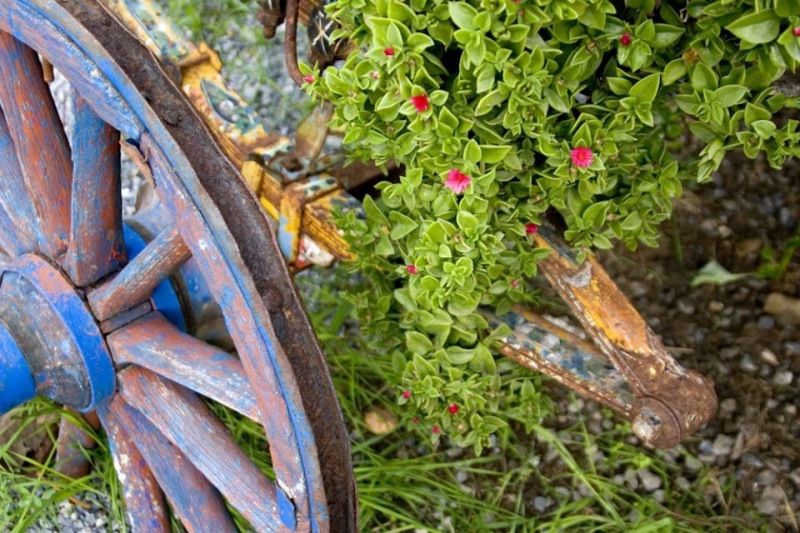 City-Wheel-and-flowers